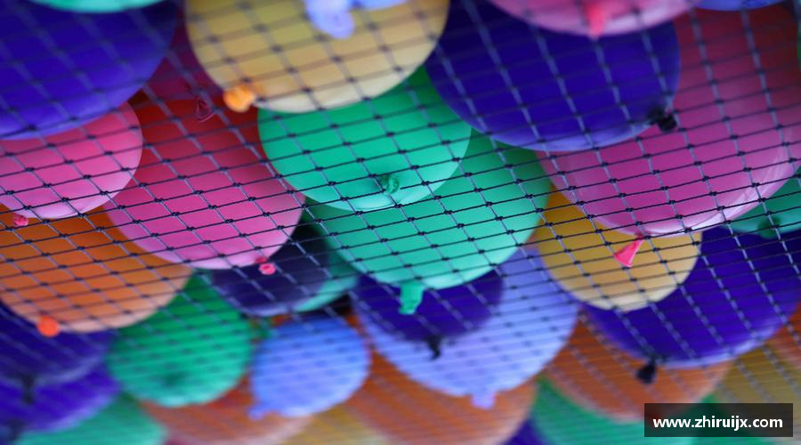 bwin必赢官方网站永不放弃，追寻梦想